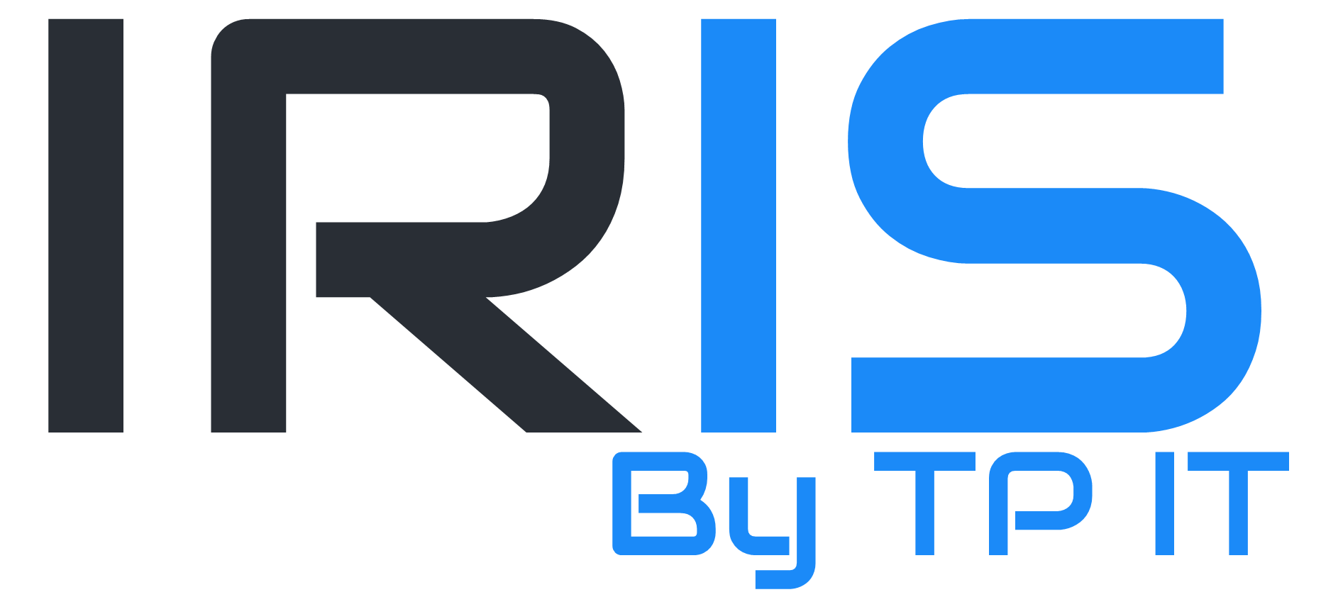 TP IT & WEB SERVICES LIMITED